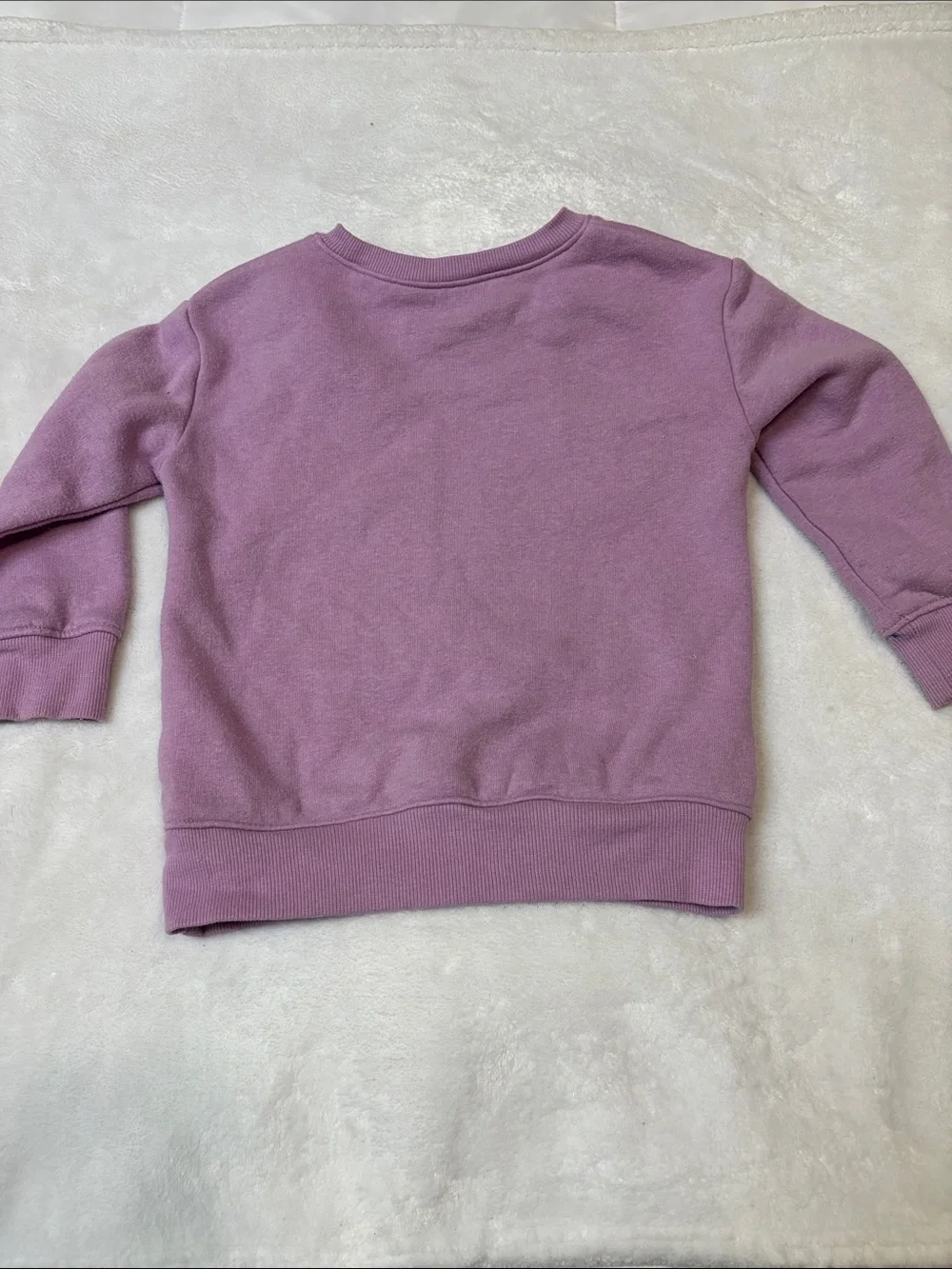 Girls Lavender Elsa & Anna Sparkle Crewneck Sweatshirt